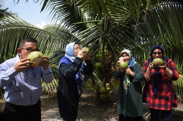 Tinjau Pembibitan Kelapa Genjah Pandan Wangi, Sabrina: Sangat Layak Dikembangkan di Sumut